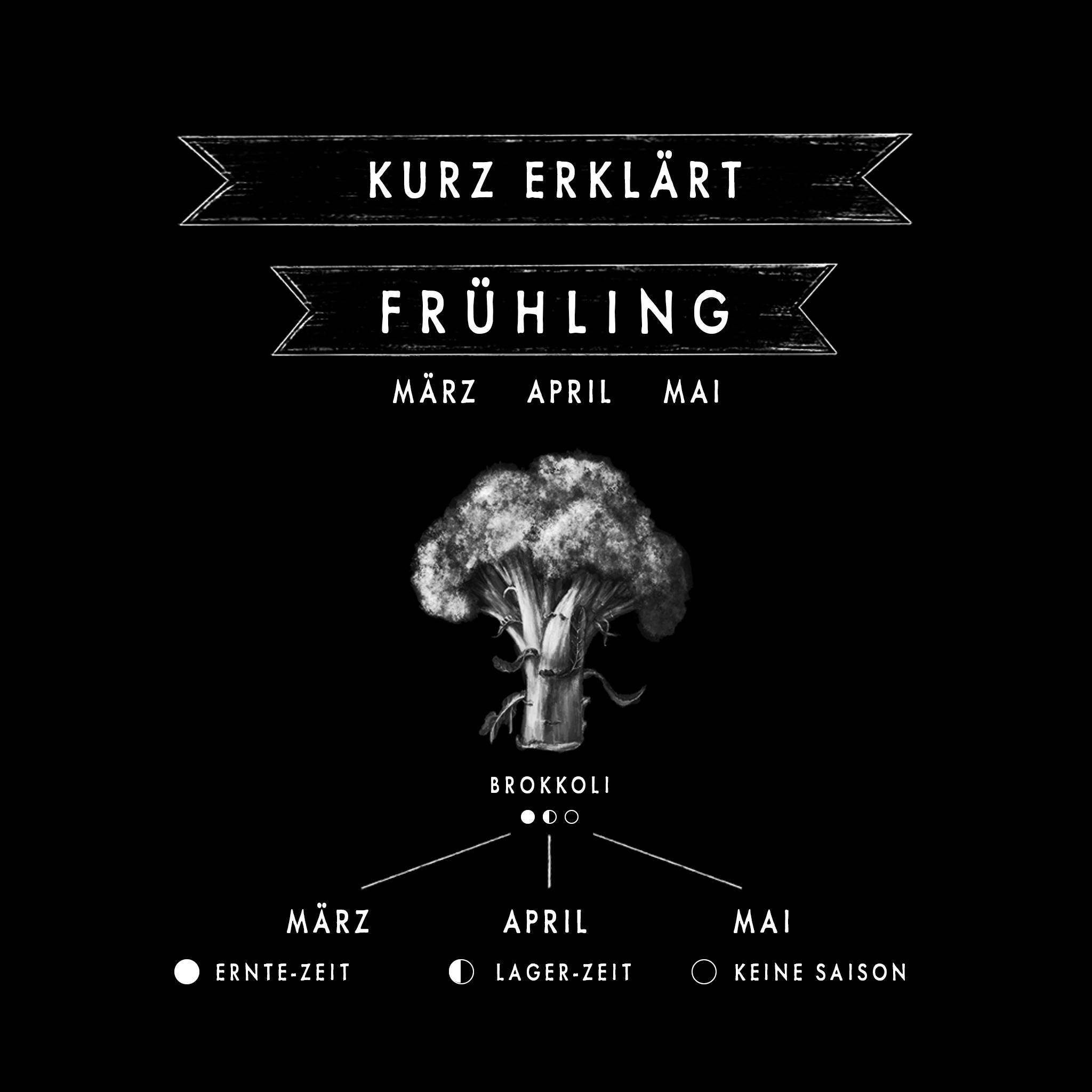 DER GEMÜSE-KALENDER Querformat in Silber