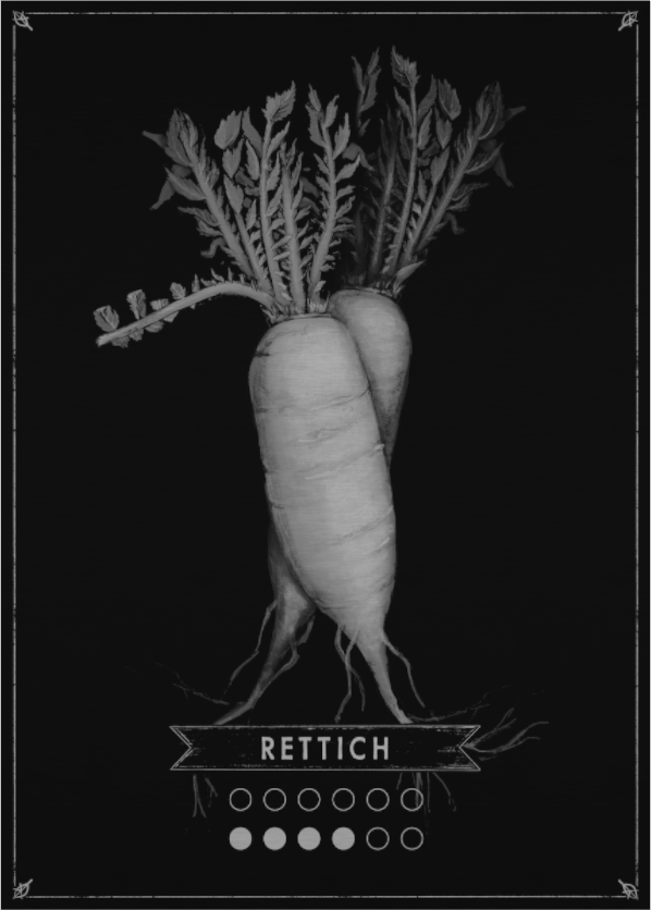 Main image DER RETTICH – LIMITED EDITION SOMMER in Gold